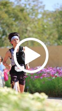 BIB:  <button type="button" onclick="openModal(27585431)" class="btn btn-primary btn-sm float-right" data-toggle="modal" data-target=".modal-high-quality">
                <i class="fa fa-download"></i> Download
                </button>